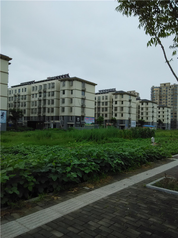 城南囬迁房—湖景人居首选之！