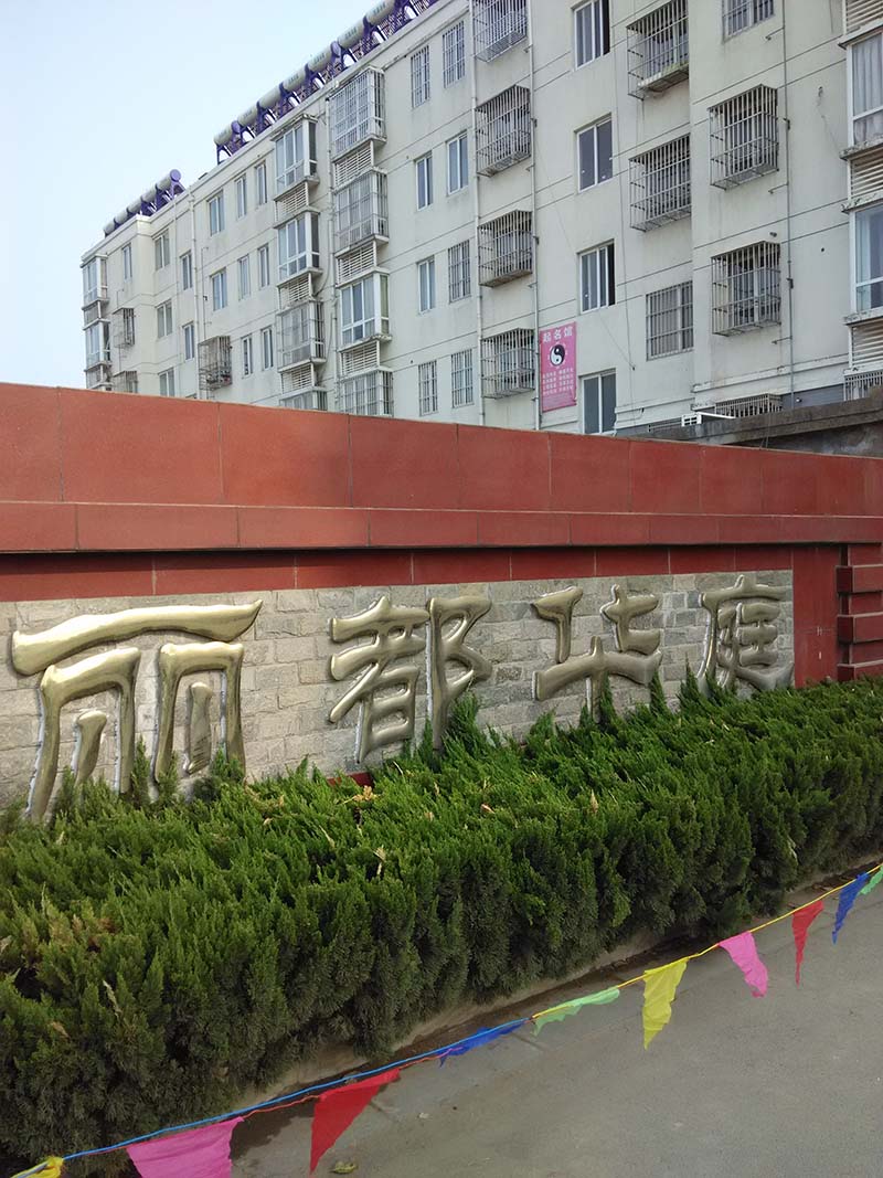丽都华庭大车库55平普装25W