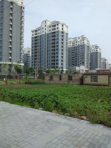 建湖明珠路北侧朝南住人大车库6500元/年