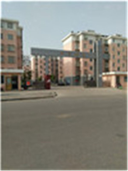 华亭锦苑9/11层52平库7平普装6500元/年